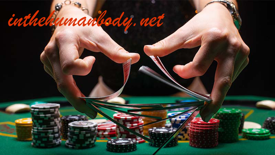 เกี่ยวกับเรา